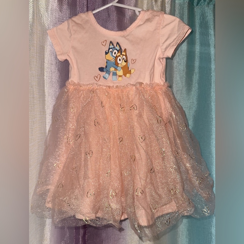 Pink Tulle Dress with Bluey Print